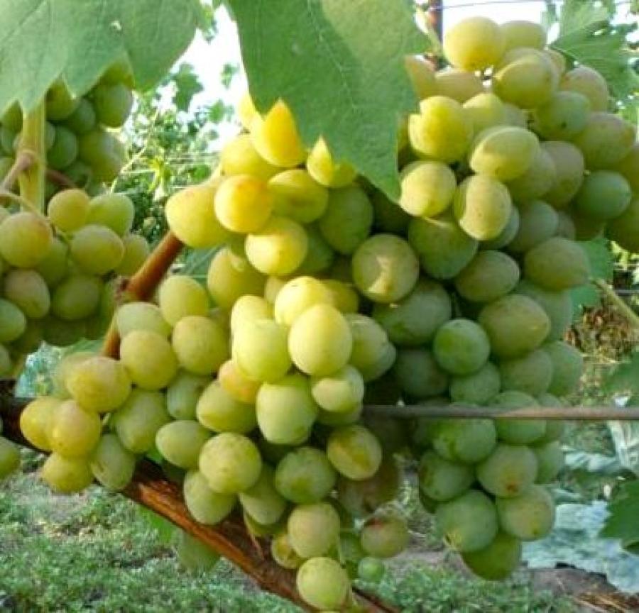 Превью изображения