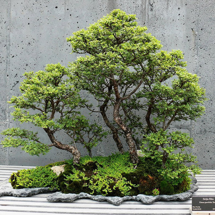 Превью изображения