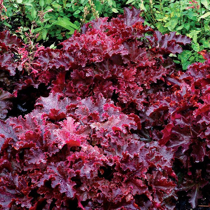 Превью изображения