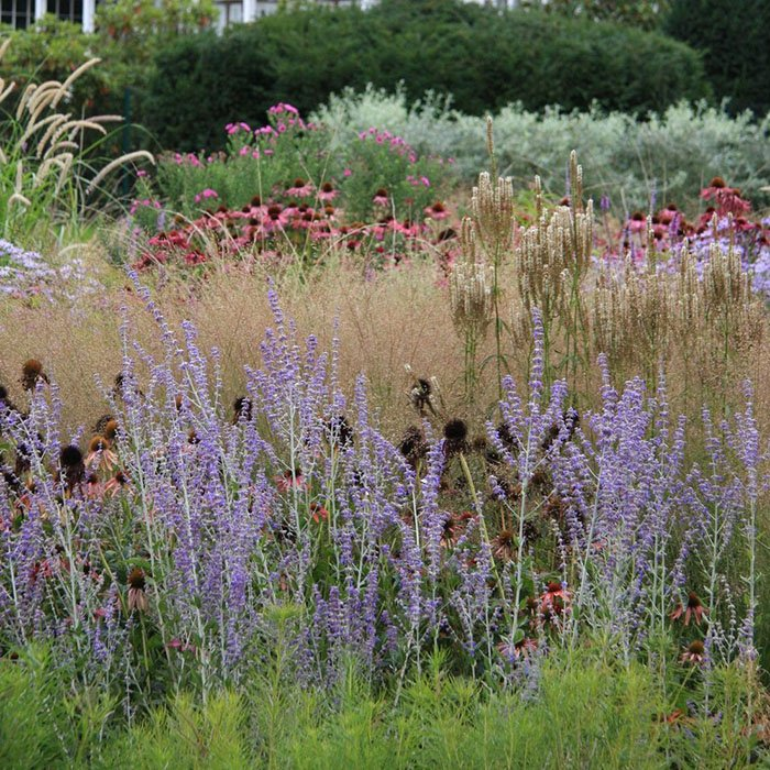 Превью изображения