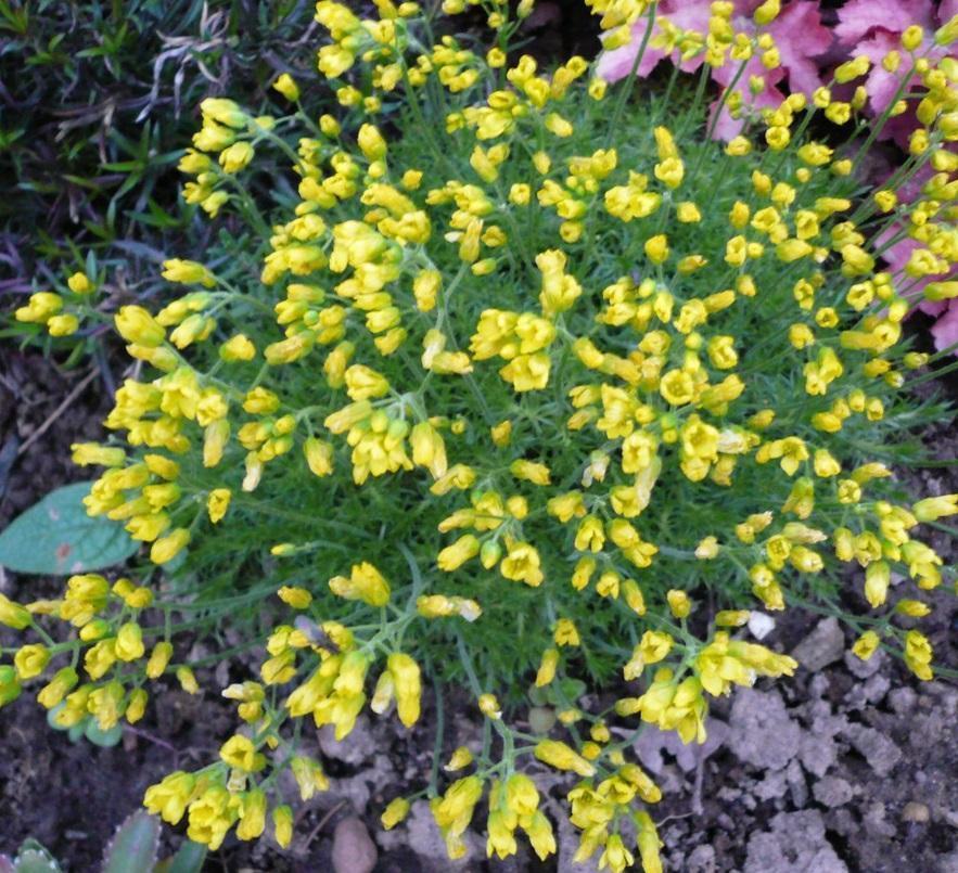 Превью изображения