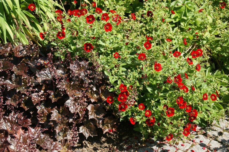 Превью изображения