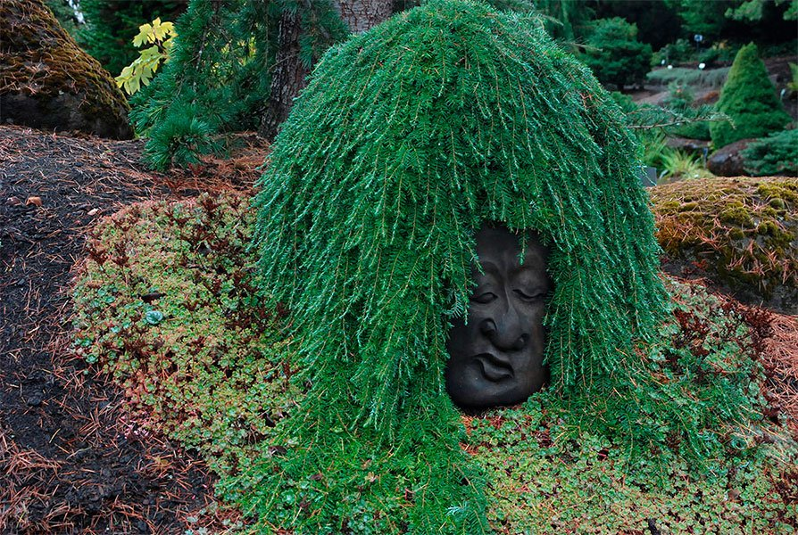 Превью изображения