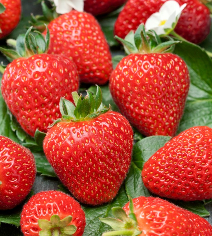 Превью изображения