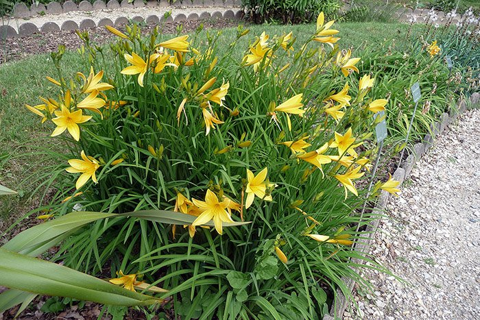 Превью изображения