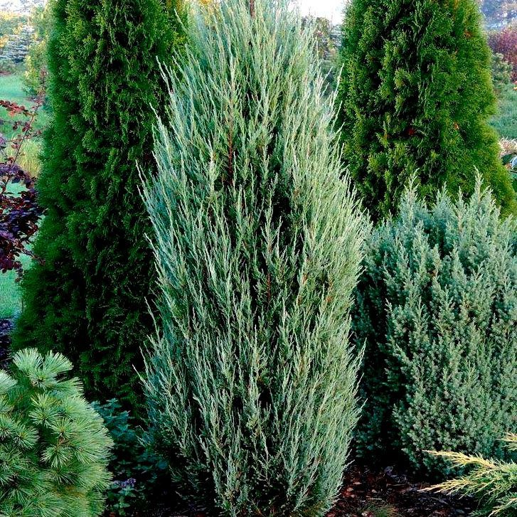 Превью изображения