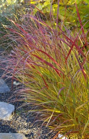 Превью изображения