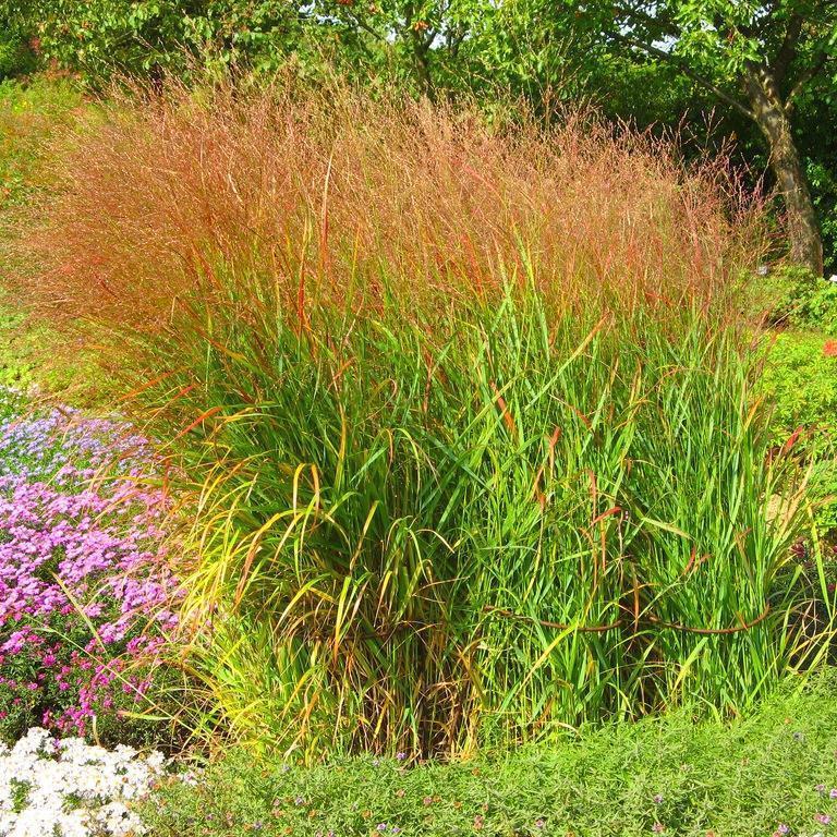 Превью изображения