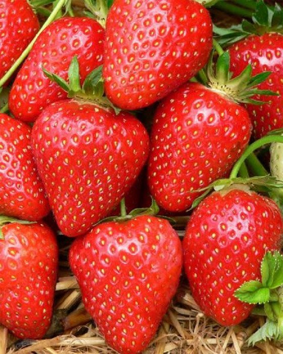 Превью изображения