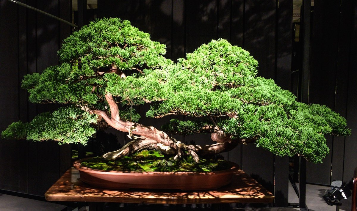 Превью изображения