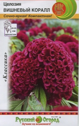 Превью изображения