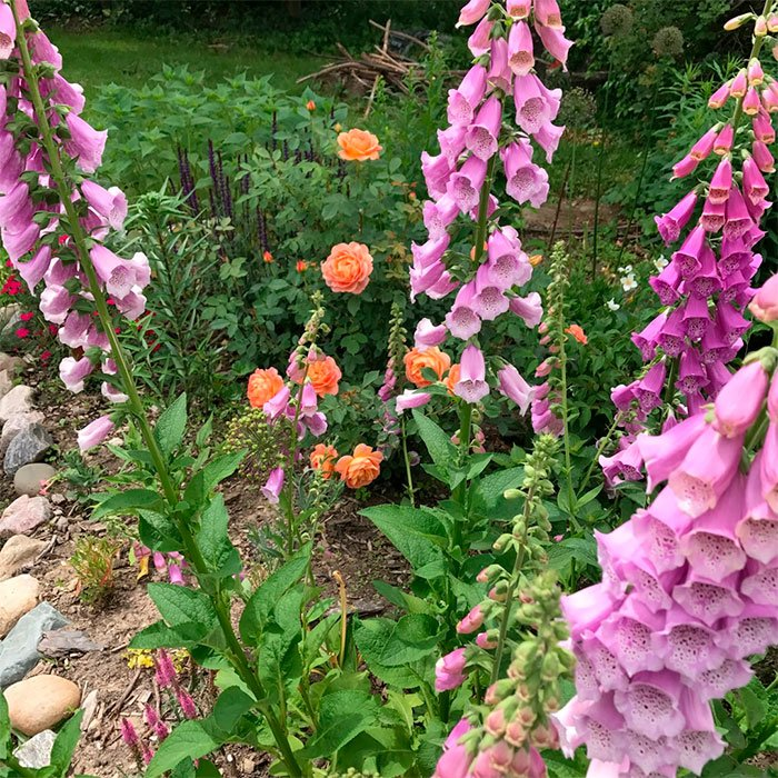 Превью изображения