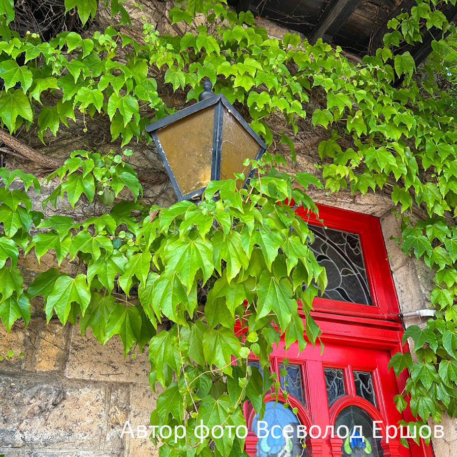 Превью изображения