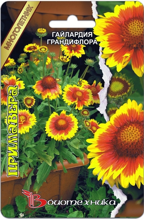 Превью изображения