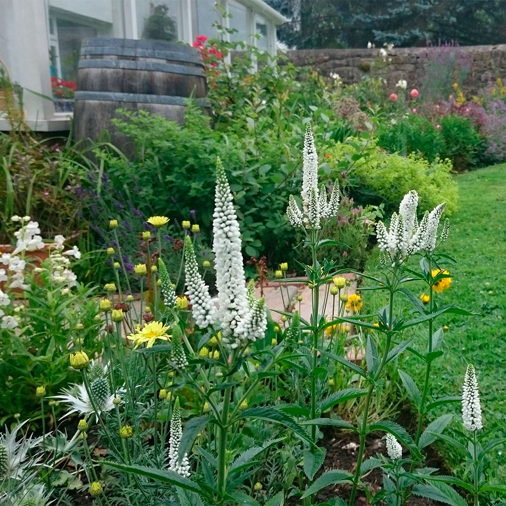 Превью изображения