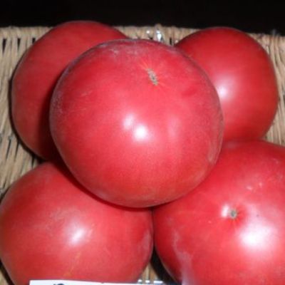 Превью изображения