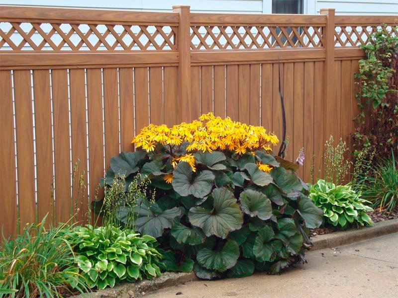 Превью изображения