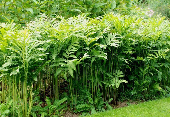 Превью изображения