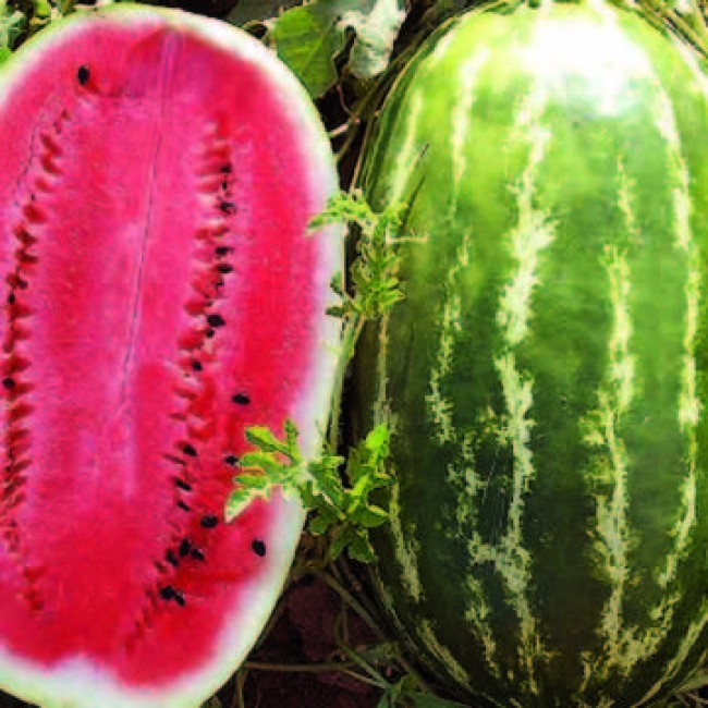 Превью изображения