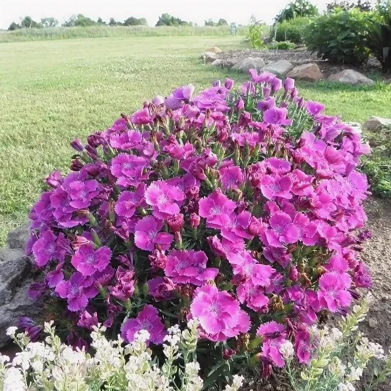 Превью изображения