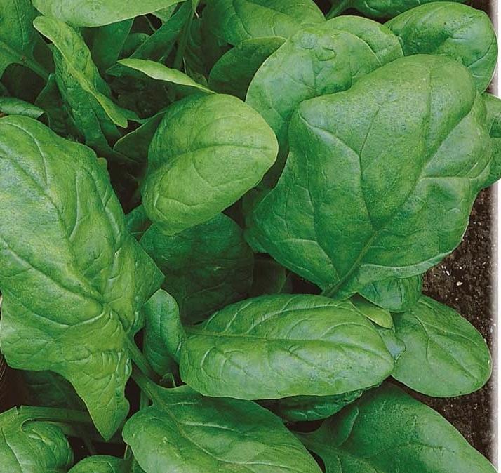 Превью изображения