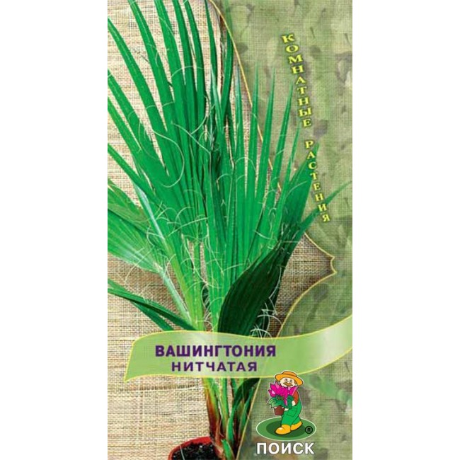 Превью изображения