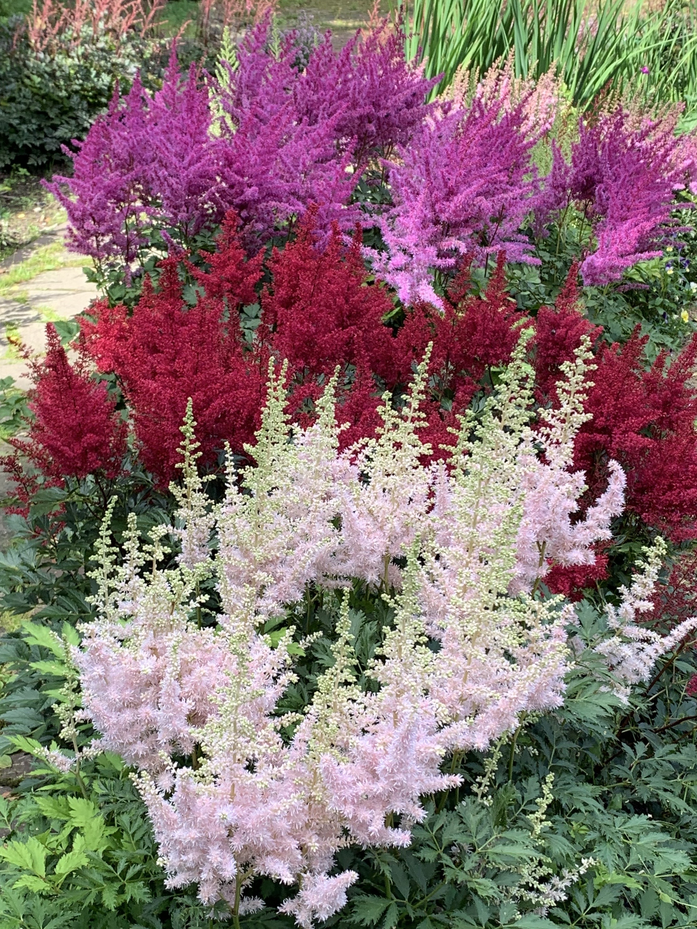 Превью изображения