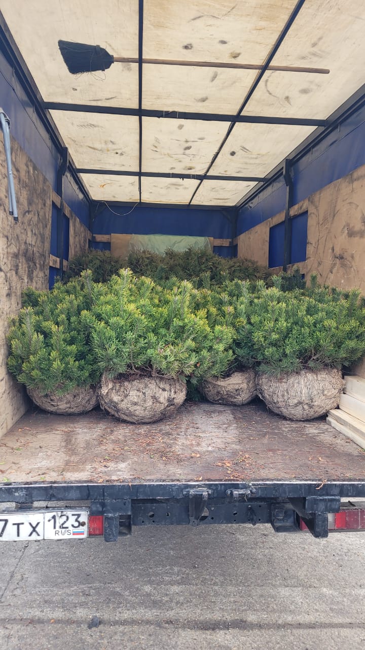 Превью изображения