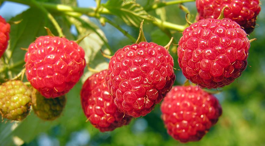 Превью изображения