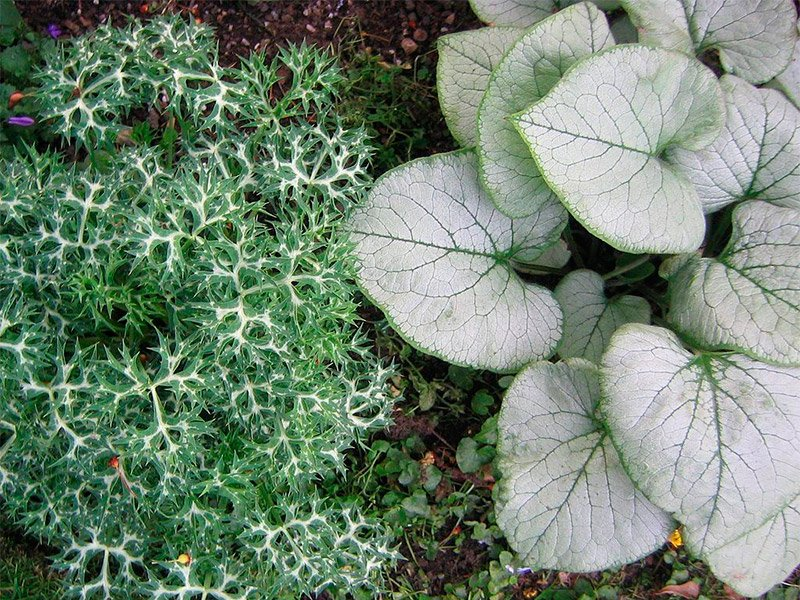 Превью изображения