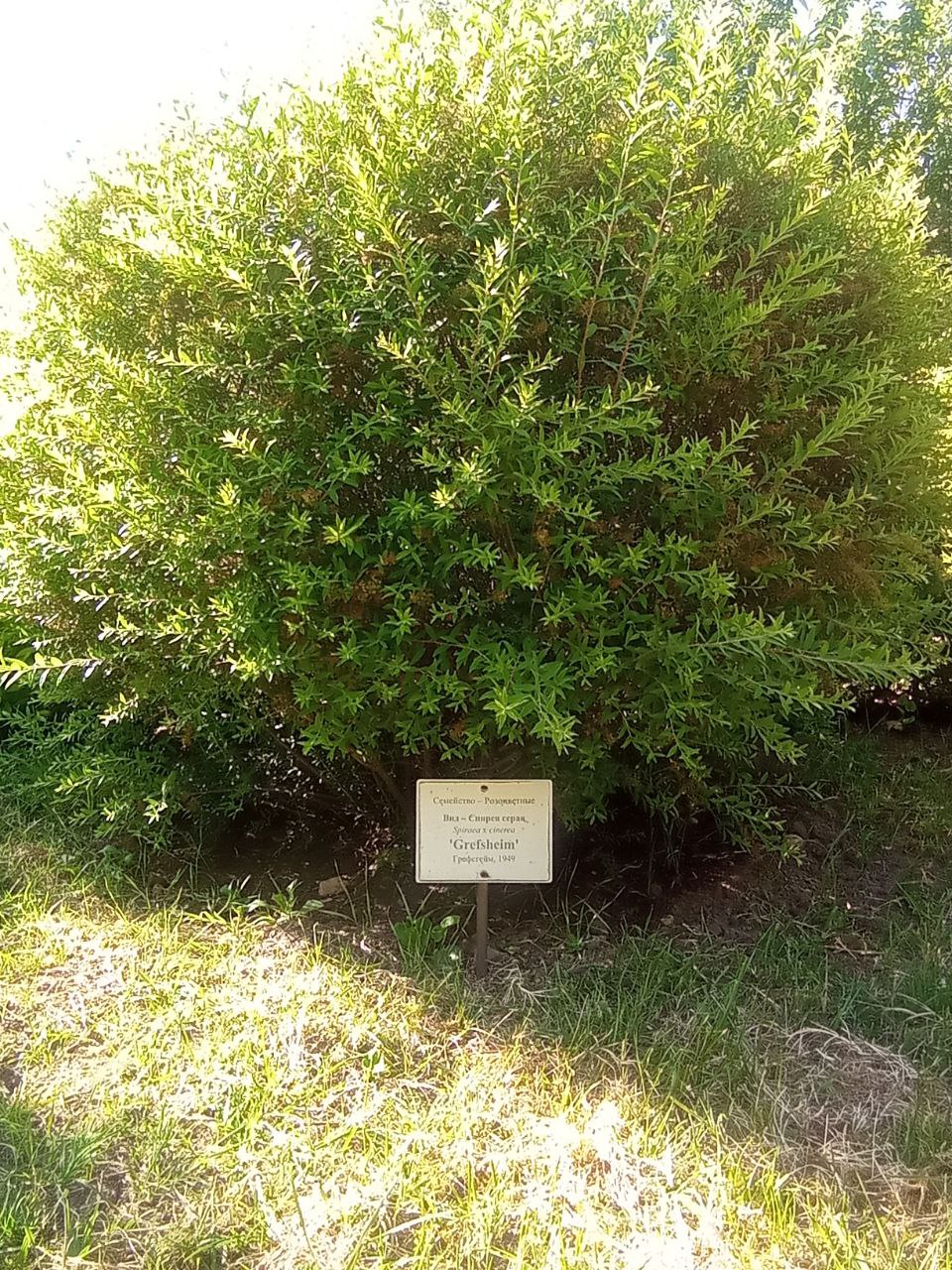 Превью изображения