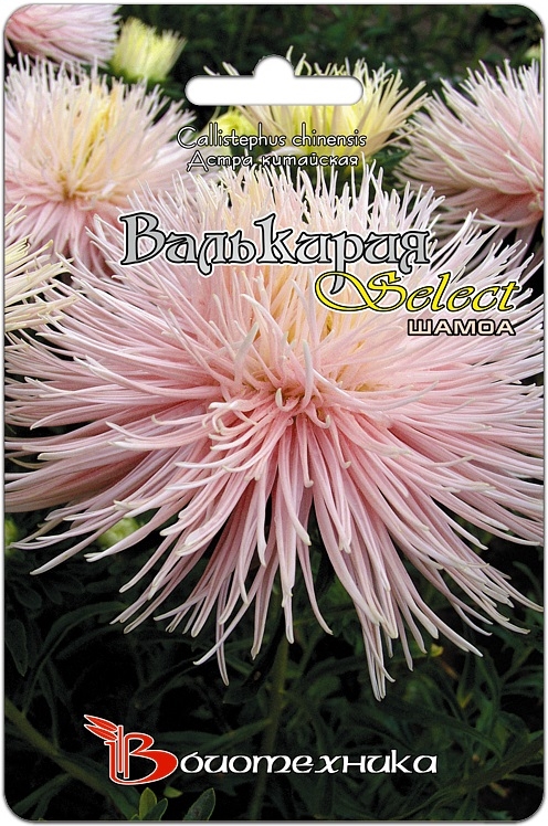 Превью изображения