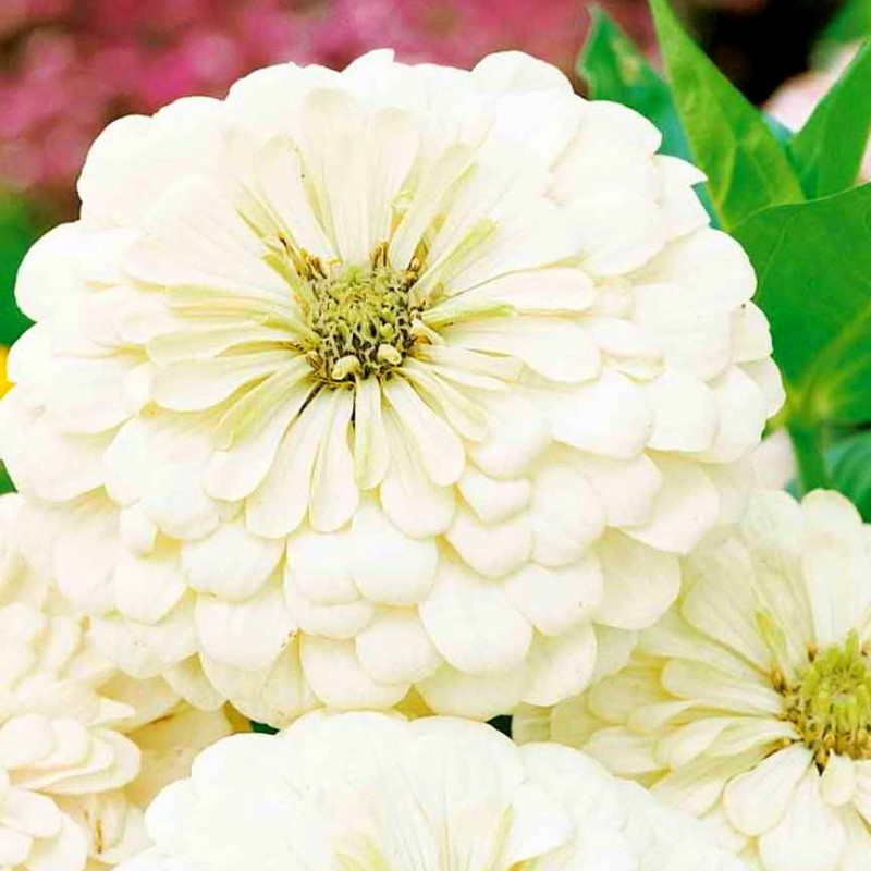 Превью изображения