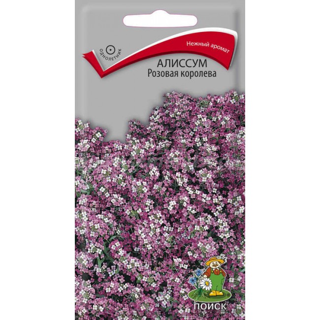 Превью изображения