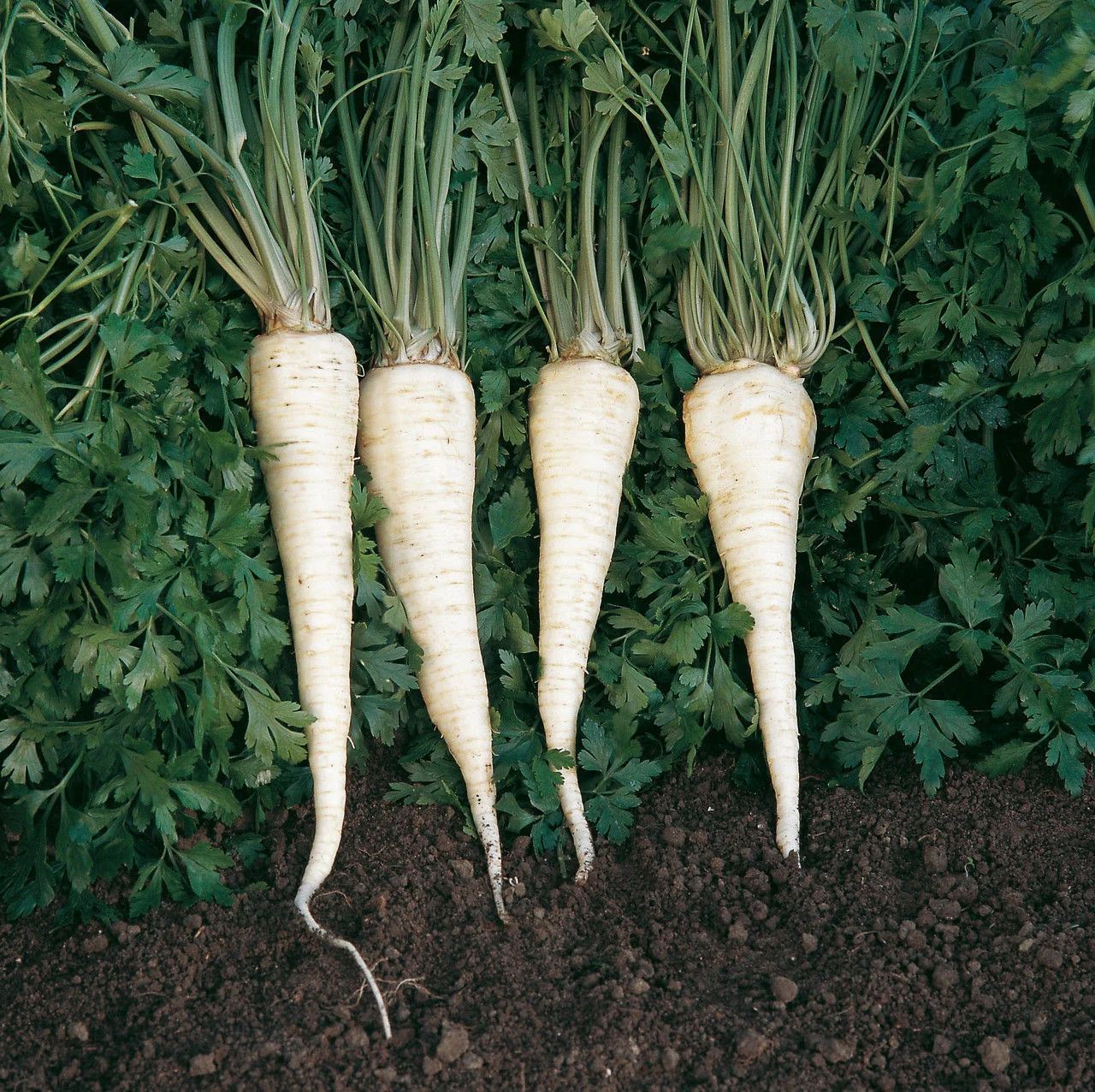 Превью изображения