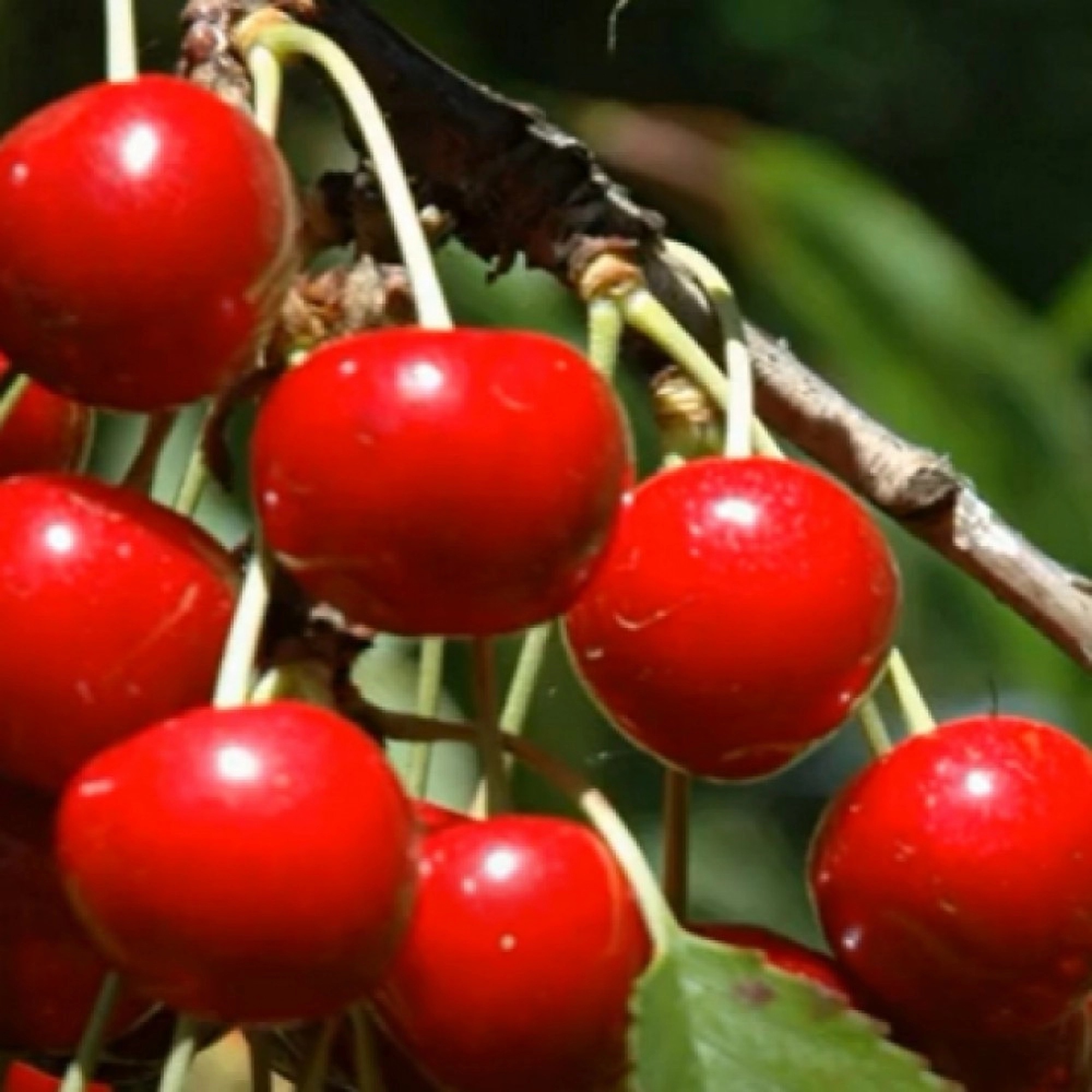 Превью изображения