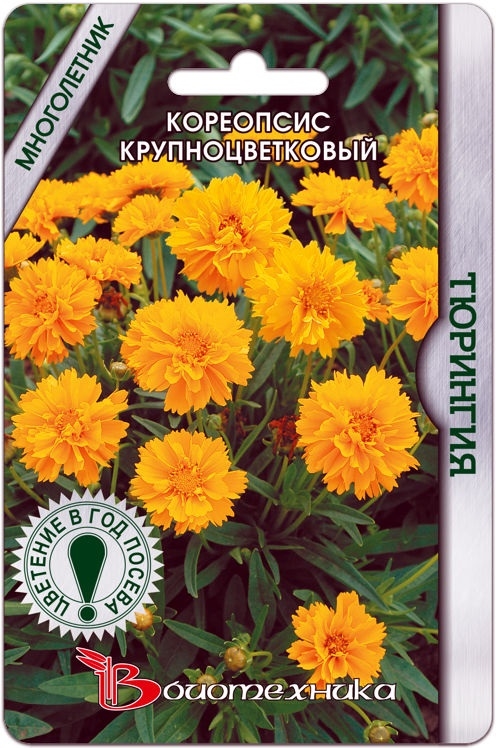 Превью изображения