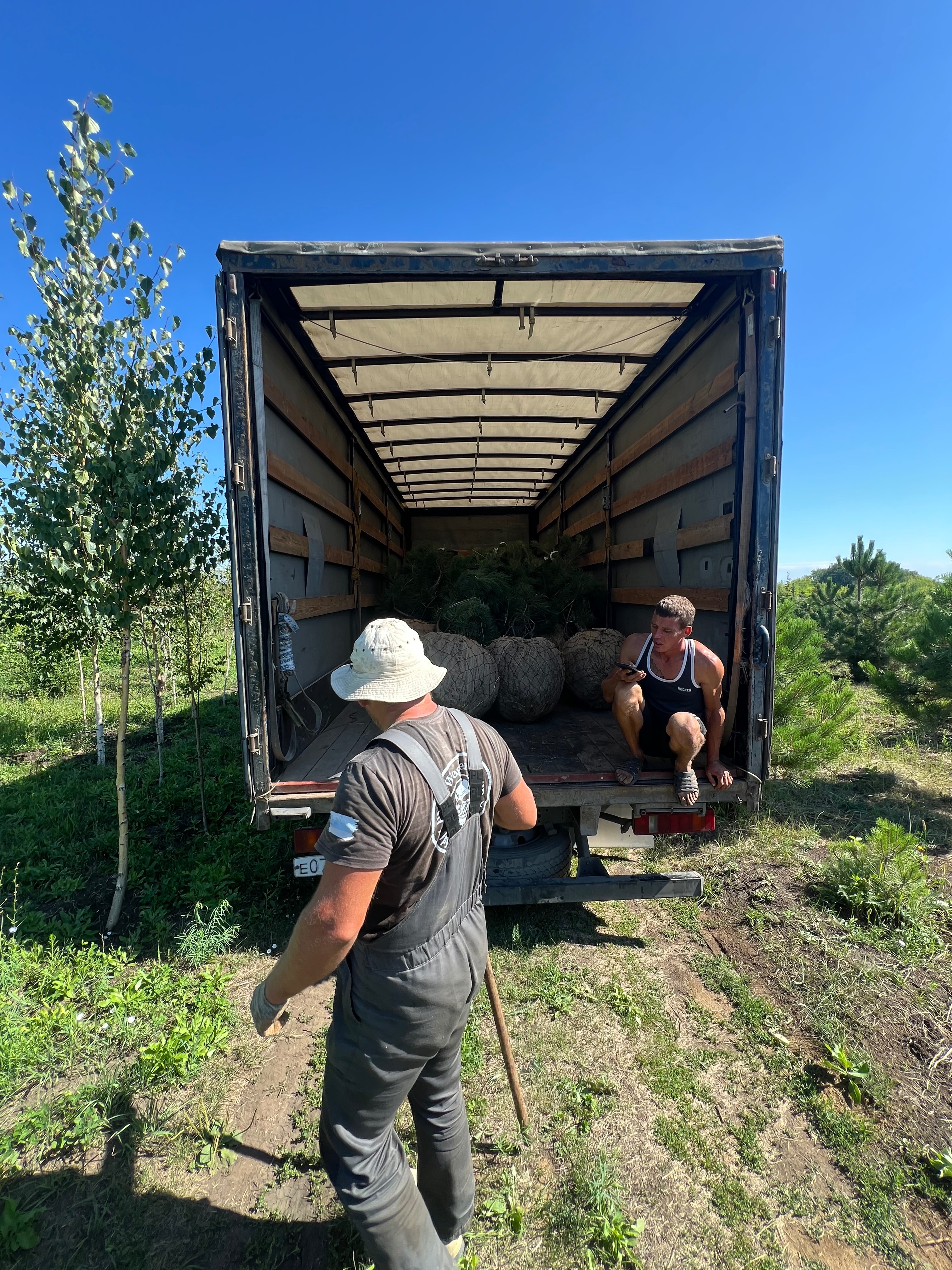 Превью изображения