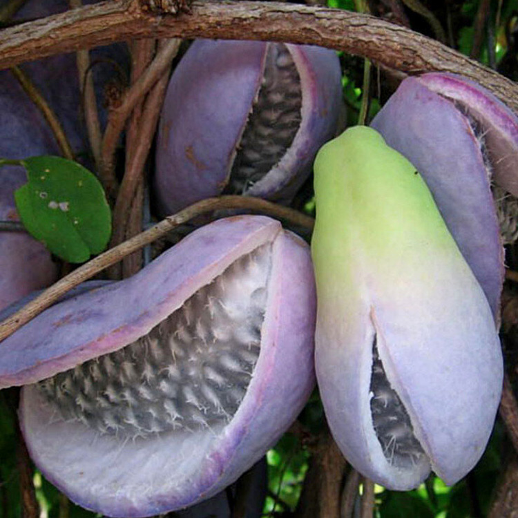 Превью изображения