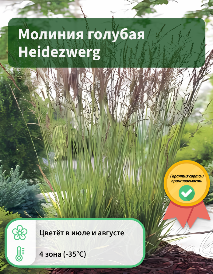 Превью изображения