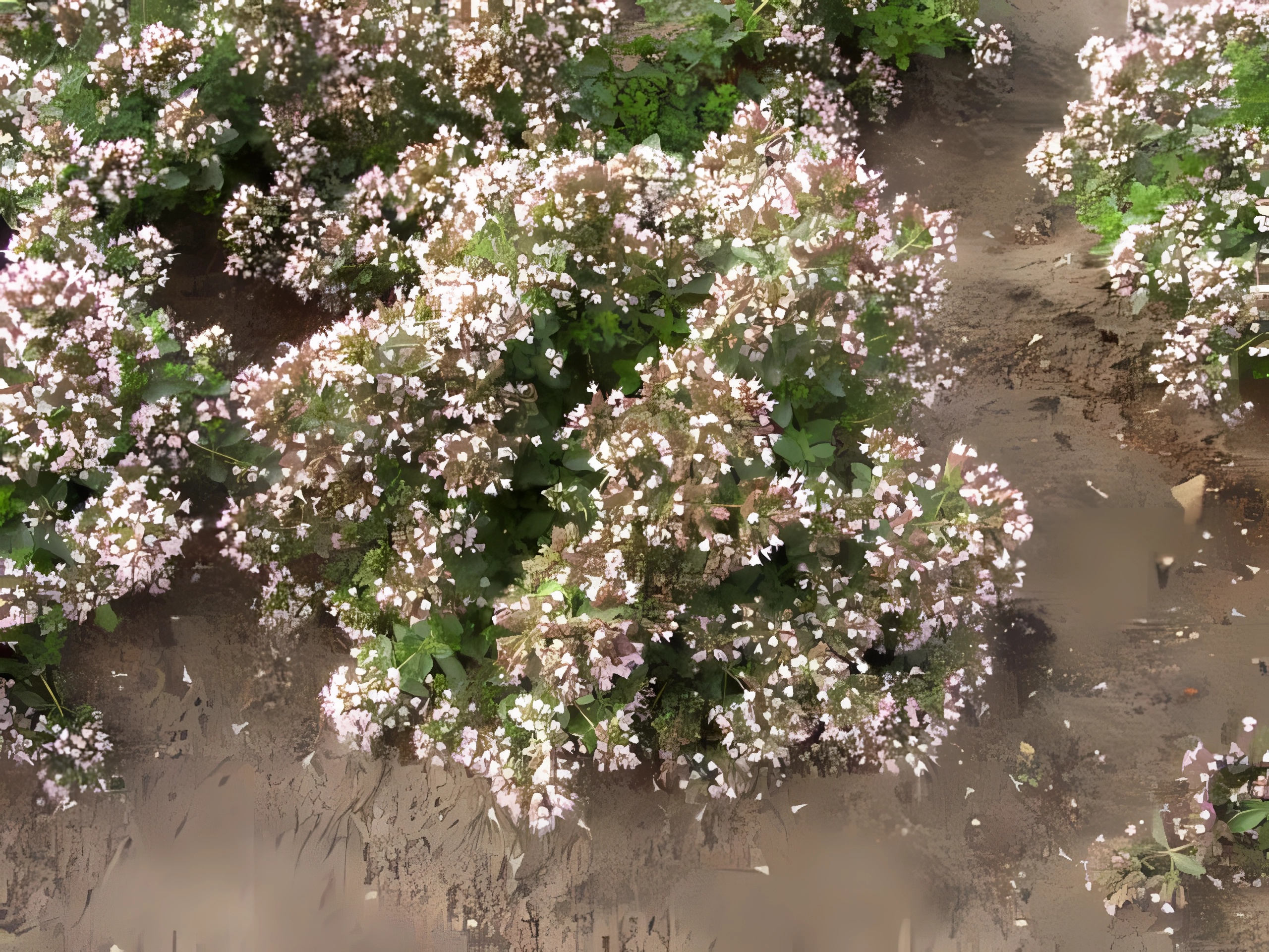 Превью изображения