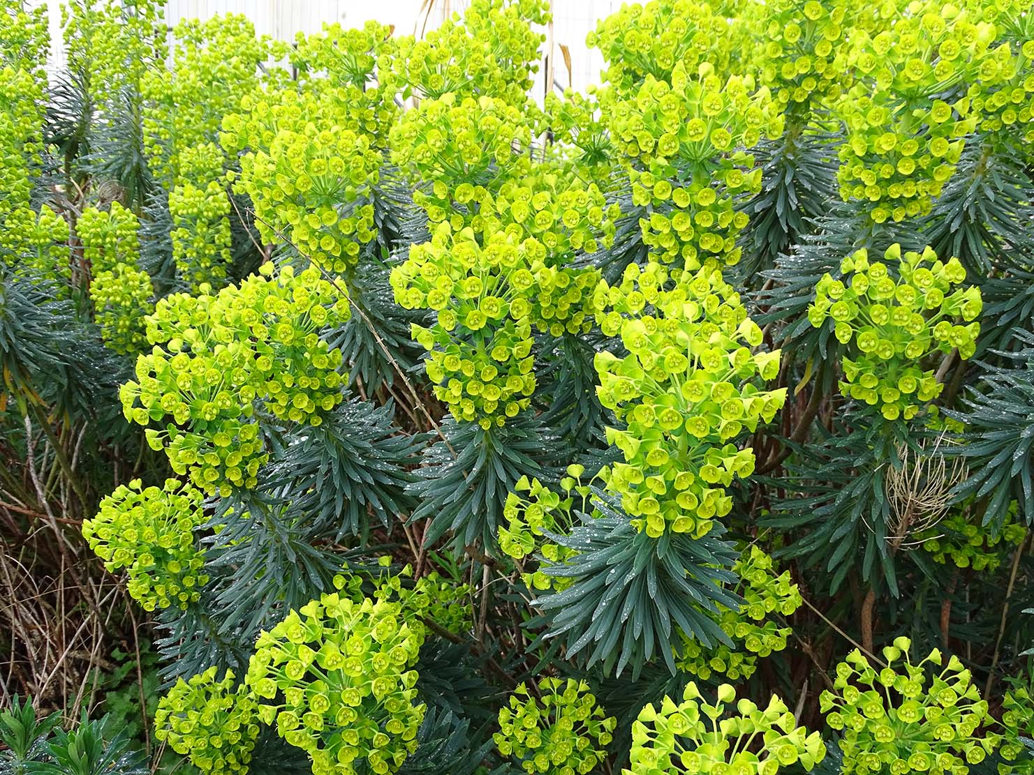 Превью изображения