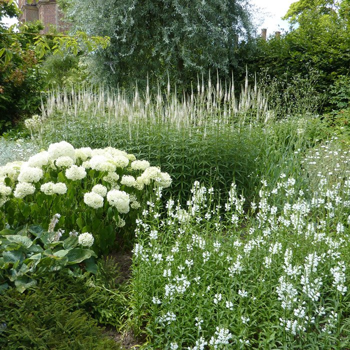 Превью изображения