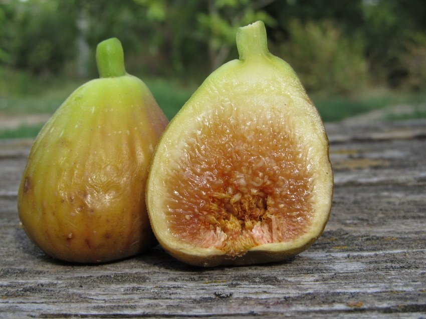 Превью изображения