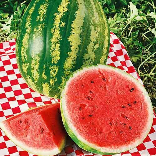 Превью изображения