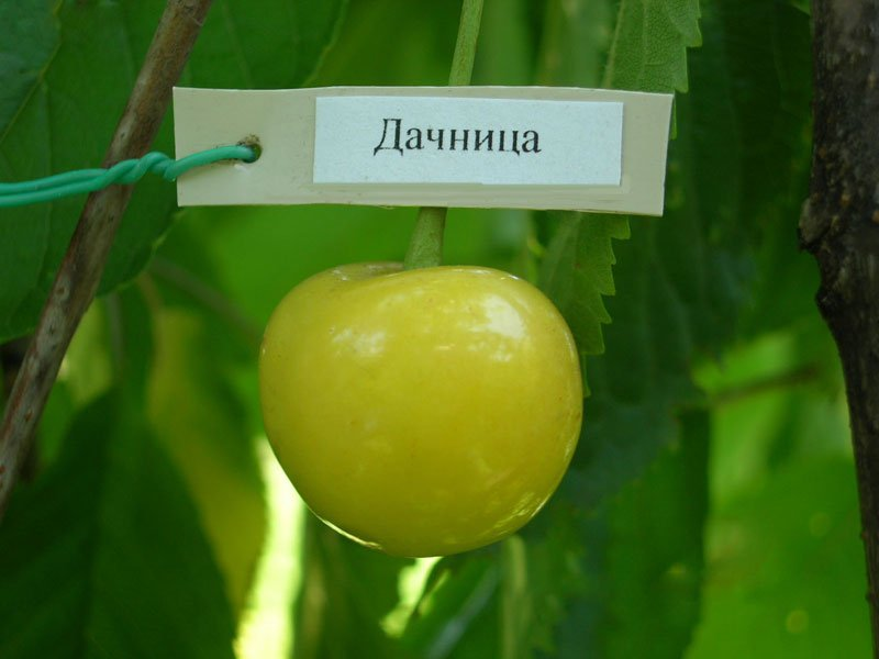 Превью изображения