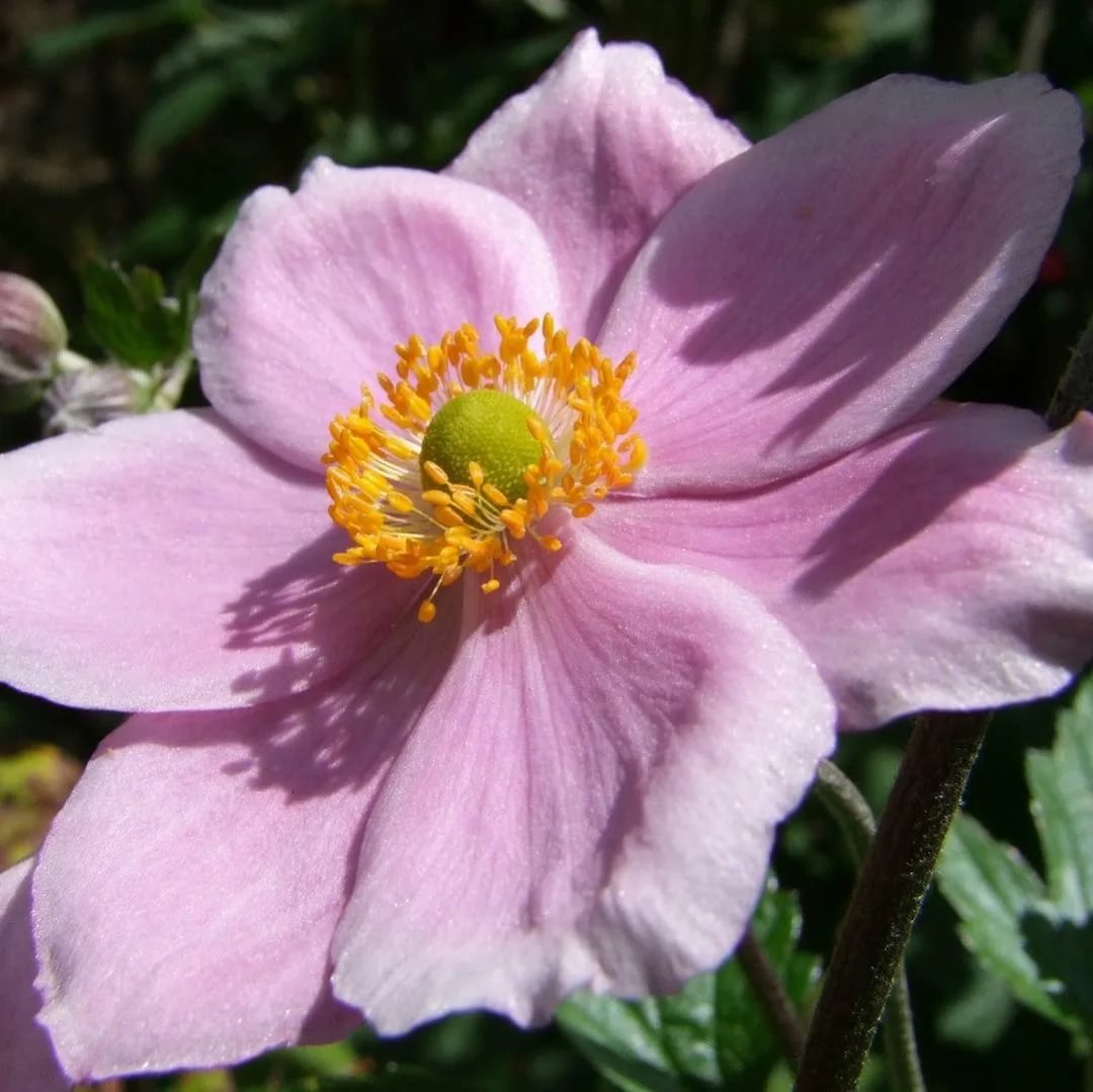 Превью изображения