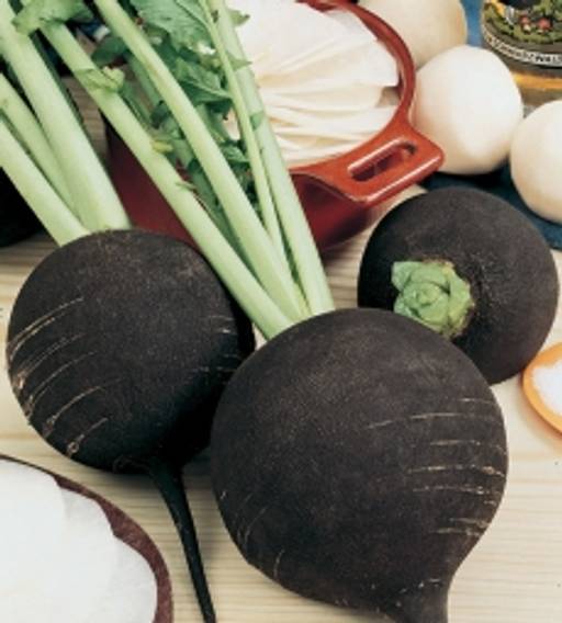 Превью изображения