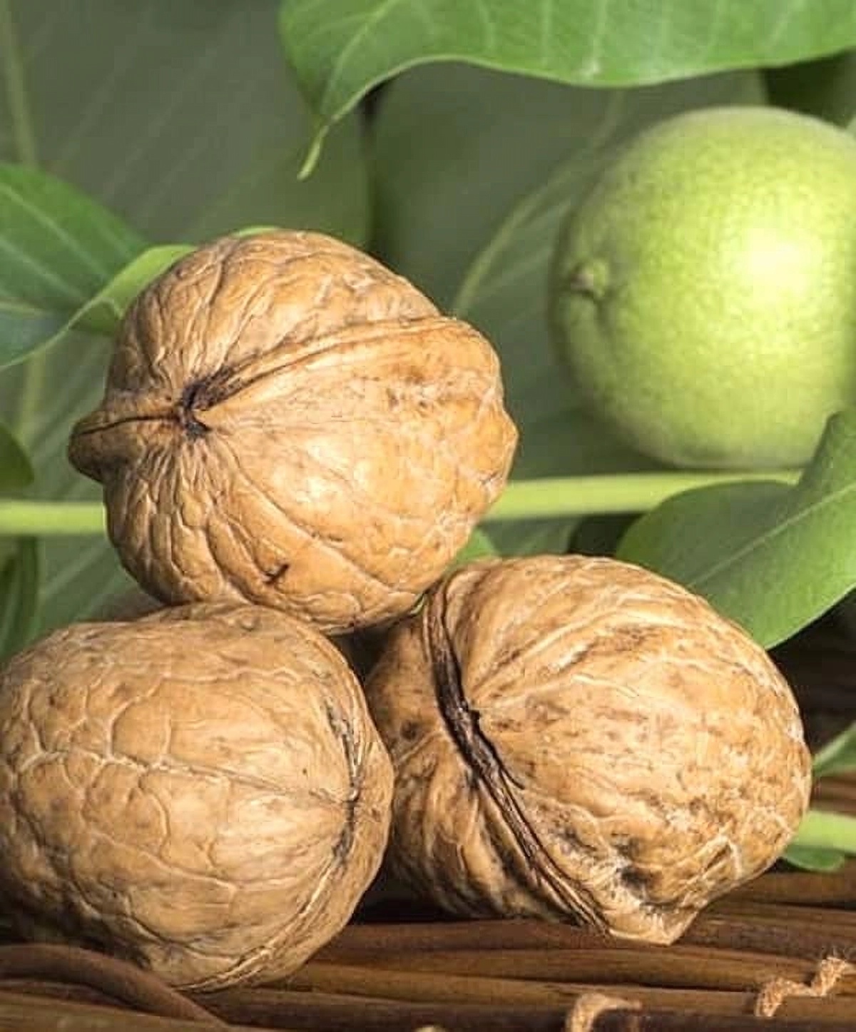 Превью изображения