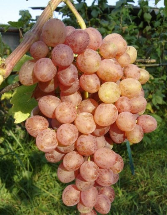 Превью изображения